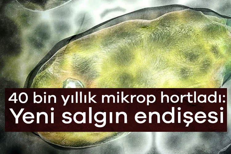Permafrostta 40 bin Yıllık Uyanış: Antik Mikroplar ve Riskler