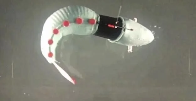 Yumuşak Robot Balık: Çin'de Geliştirilen Prototipin Sınırları ve Yeteneği