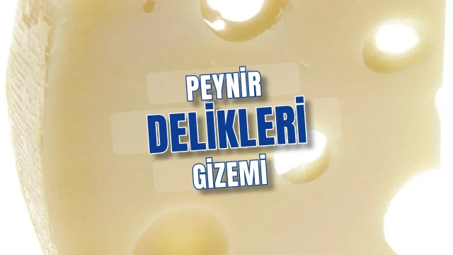 İsviçre Peynirindeki Delikler Neden Azaldı? Bilim İnsanları Asırlık Gizemi Çözdü